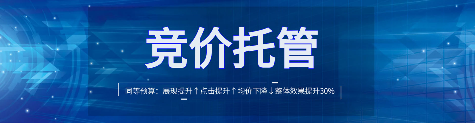 色尼谷歌sem